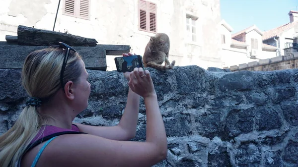 Turista tira fotos em um smartphone, lambendo um gato vermelho no fundo dos edifícios antigos da cidade velha — Fotografia de Stock