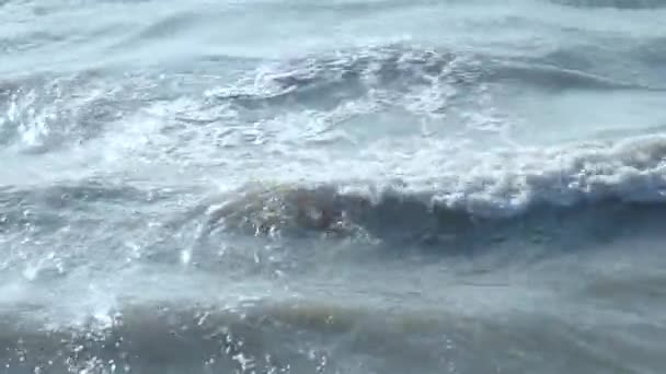 Beautiful girl in clothes dives and emerges into the dirty, gray sea. View from above — Stock Video