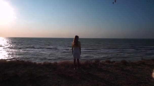 Дівчина стоїть на краю скелі перед морем, блакитне небо, мама літає чайками — стокове відео