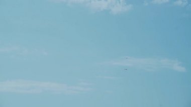 Rüzgara karşı uçan iki martı denizin üstünde, mavi bir gökyüzüne karşı duruyorlar.