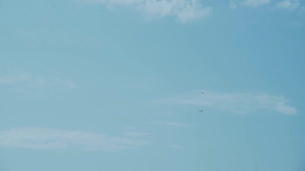 Dos gaviotas vuelan contra el viento, permaneciendo en su lugar, sobre el mar contra un cielo azul — Vídeos de Stock