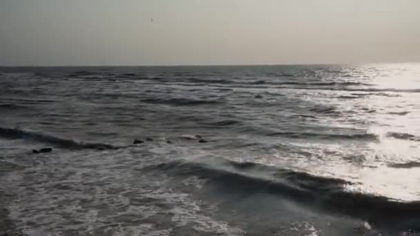 Horizonte plano, mar gris, cielo monótono, olas, gaviotas, piedras — Vídeos de Stock