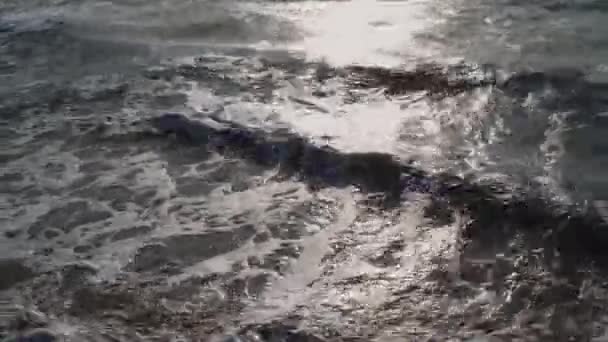 Le plan moyen, vagues avec des taches de mousse, mer grise, mouettes volent . — Video