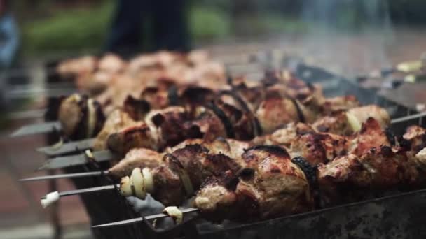 Close-up. Hand twists skewer with marinated pork for uniform frying on the grill — Stock Video