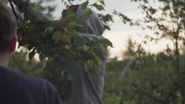 Dos amigos recogen frutas de albaricoques y comen en una casa de verano en el jardín — Vídeo de stock
