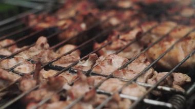 Yakın plan. Kırsalda ızgarada kızarmış tavuk. Duman geliyor.