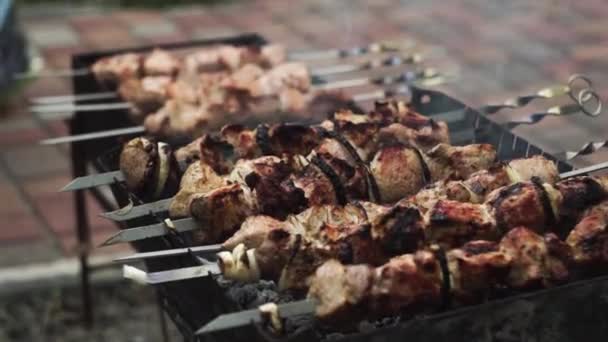 Close-up. Kebabs rosados são fritos no fogo, carvão, um fogo, na grelha — Vídeo de Stock