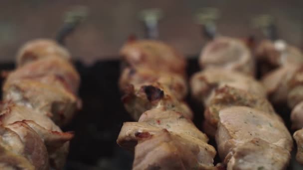 Close-up. Suculento, porco conservado em escabeche, a carne frita-se na grelha, em uma fogueira, em brasas — Vídeo de Stock