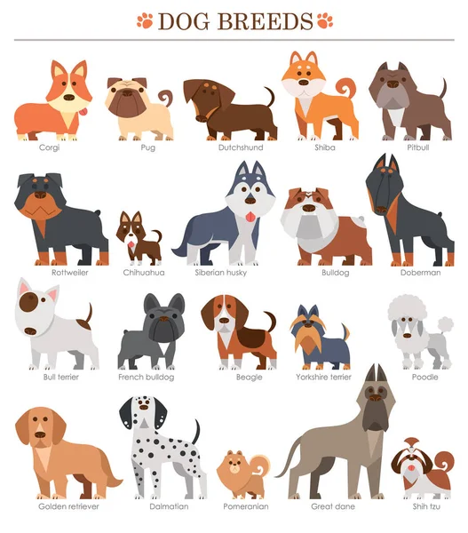 Vector Illustration Cartoon Dogs Breeds Set Cute Dog — Stock Vector