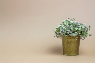 Kahverengi arka plandaki çiçekler. Kartpostal fikri. Minimalizm.