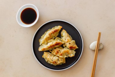 Soya soslu kızarmış hamur köftesi. Gyoza. Sağlıklı beslenme. Vejetaryen yemeği.