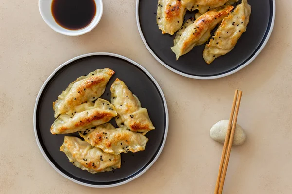 Soya soslu kızarmış hamur köftesi. Gyoza. Sağlıklı beslenme. Vejetaryen yemeği.