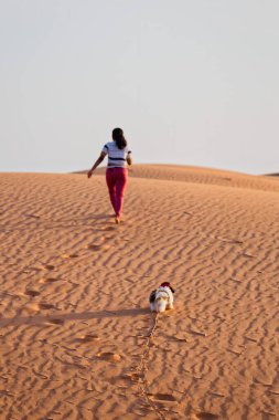 25 Eylül 2020. Yavru bir köpek, sahibinin ayak izlerini takip eder. Gün doğumunda çöl kum tepesinde..