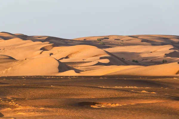 Settembre 2020 Paesaggio Desertico Con Dune Sabbia All Alba Deserto — Foto Stock
