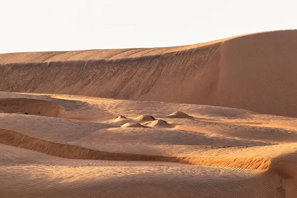 Settembre 2020 Paesaggio Desertico Con Dune Sabbia All Alba Deserto — Foto Stock