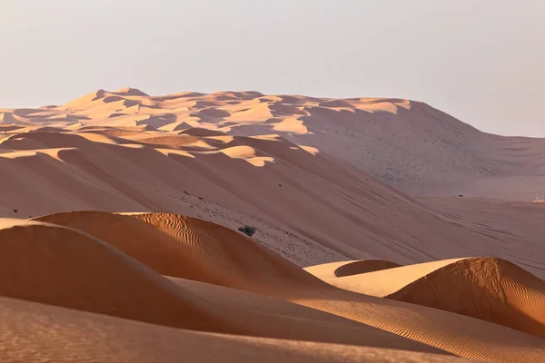 Settembre 2020 Paesaggio Desertico Con Dune Sabbia All Alba Deserto — Foto Stock