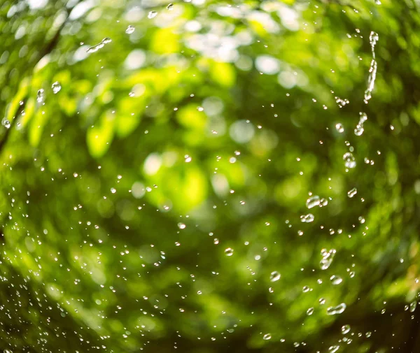 Текстура капли воды на зеленом фоне сада — стоковое фото