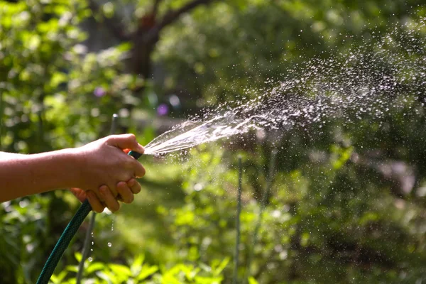 子供の手が夏日当たりの良い緑豊かな庭園に水を噴出させ、ホースを保持します。 — ストック写真