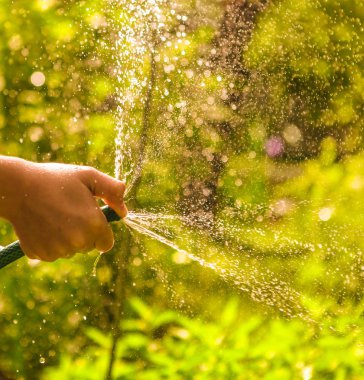 Hortum ile su yaz güneşli yeşil bahçesinde oyuncak çocuk el ele tutuşur