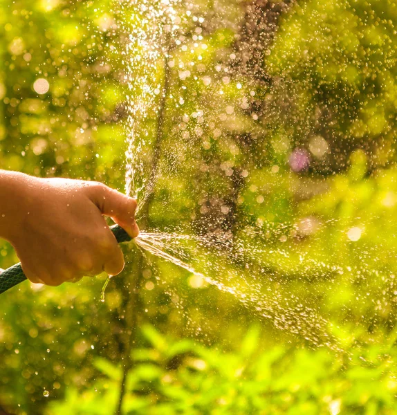 Gyerek kezét tartsa tömlő lövellt a víz a nyári napos zöld kert — Stock Fotó