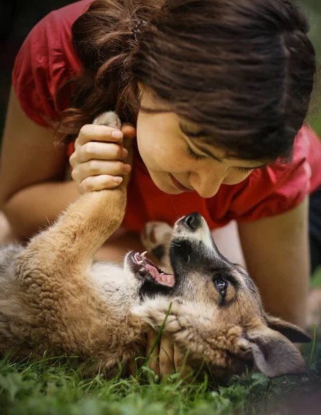 Dospívající dívka objetí štěně ovčák blízko se fotografie — Stock fotografie