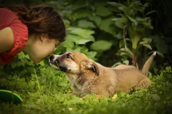Adolescente chica abrazo cachorro pastor perro de cerca foto — Foto de Stock