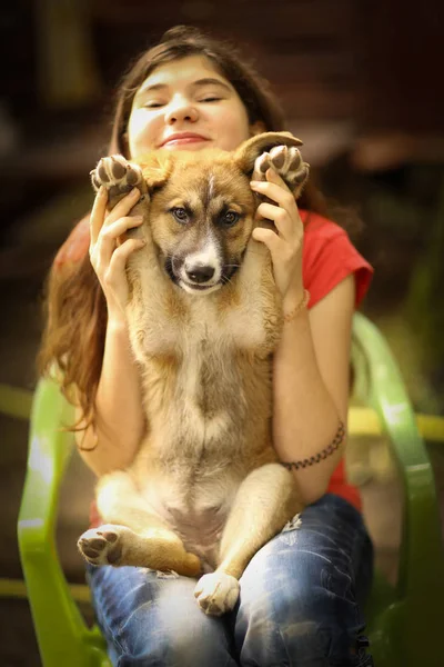 Tiener meisje knuffel pup Romanesc Carpatin dicht foto — Stockfoto