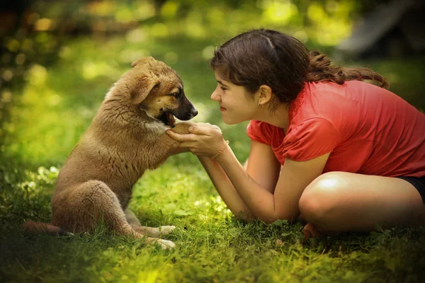 Genç kız sarılmak köpek yavrusu çoban köpeği yakın fotoğraf — Stok fotoğraf