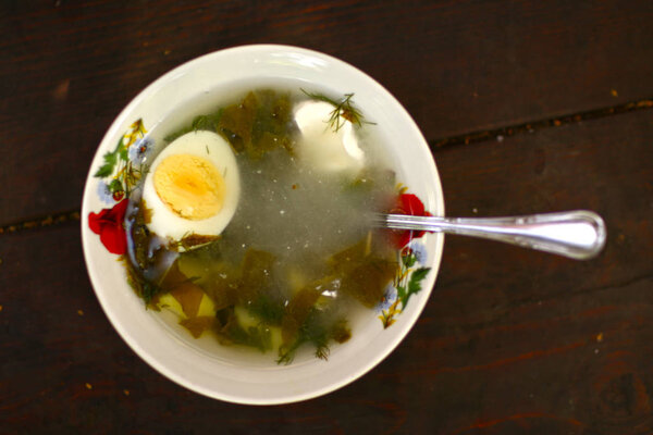 cold summer russian sorrel shchi soup close up photo