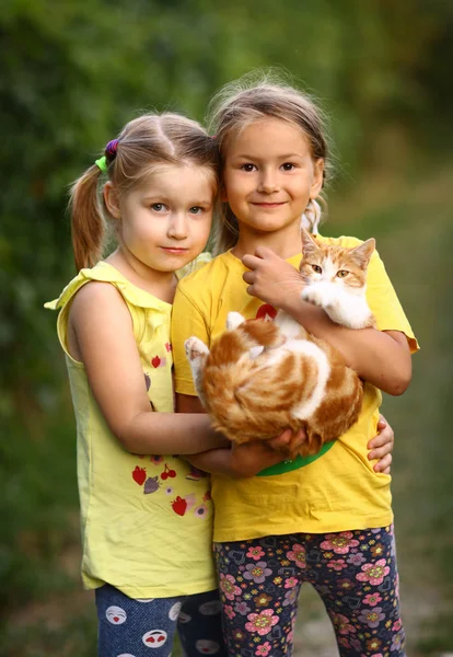 Twee Kleine Meisje Knuffel Kitten Groene Zomer Achtergrond — Stockfoto