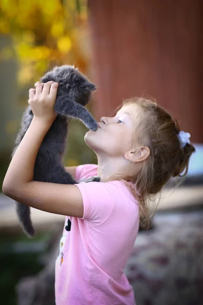 Καλοκαιρινές ηλιόλουστες φωτογραφία από μικρό κορίτσι γάτα αγκαλιάζει κοντινό φωτογραφία — Φωτογραφία Αρχείου