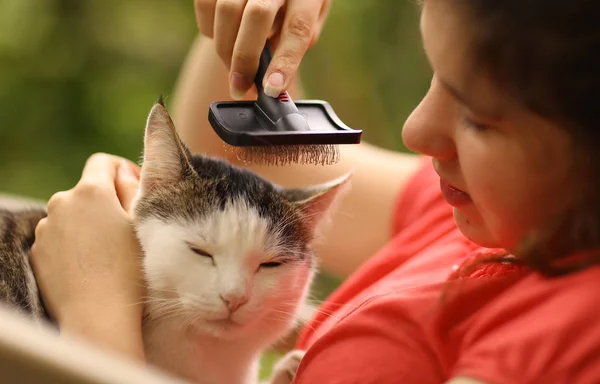 Summer Sunny Photo Teenager Girl Grooming Cat Brush Close Photo — Stock Photo, Image