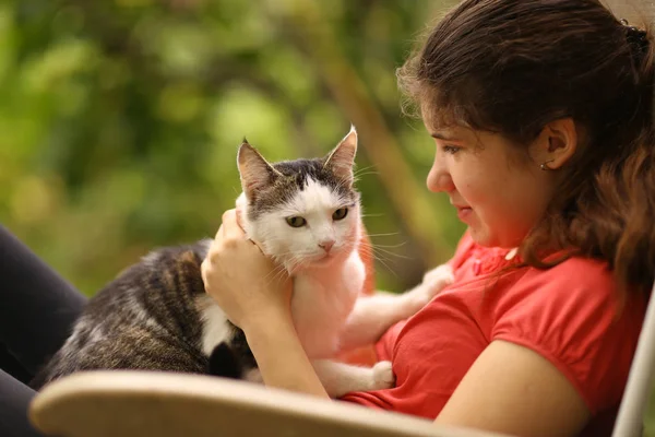 Verano Soleado Foto Adolescente Chica Aseo Gato Con Cepillo Cerca — Foto de Stock