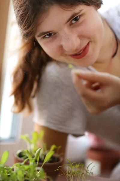 Teenager girl with growing green sprouts in pot close up photo — Stock Photo, Image