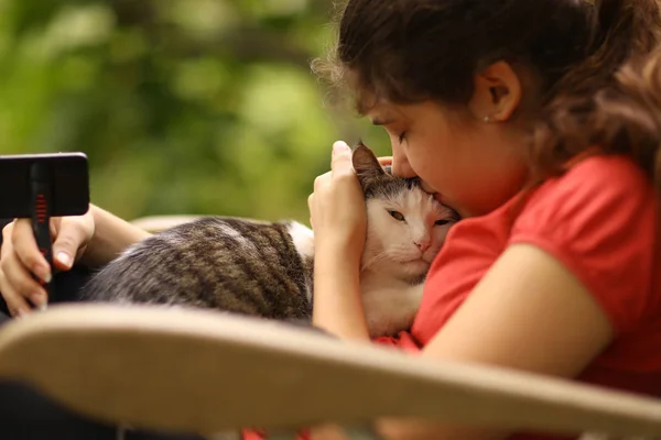 Verano Soleado Foto Adolescente Chica Aseo Gato Con Cepillo Cerca — Foto de Stock