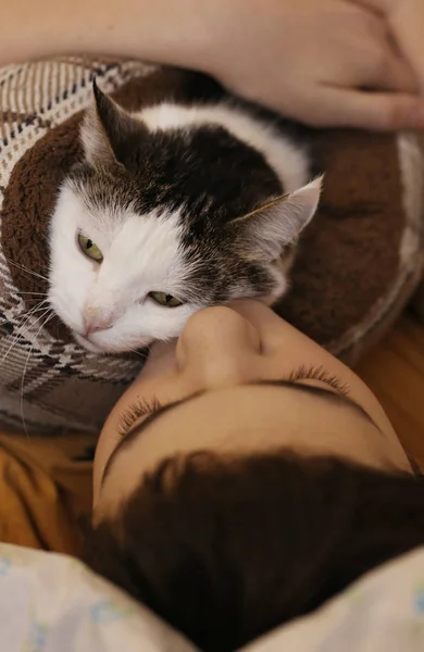 少年男孩与猫亲吻拥抱照片在床上 — 图库照片