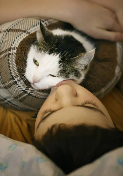 Adolescente Menino Com Gato Beijo Abraço Foto Cama — Fotografia de Stock