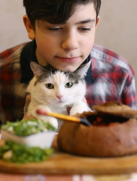 teenager boy with funny cute cat eating dinner - russian beatroot soup borsch with sourcream and dill close up photo isoaltee on white