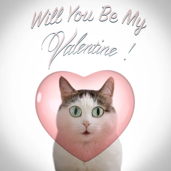 Valentine Day Card Funny Cat Heart White Background You Valentine — Stock Photo, Image