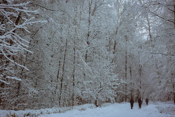 Moscú Rusia Febrero 2019 Personas Identificadas Caminando Parque Cubierto Nieve —  Fotos de Stock