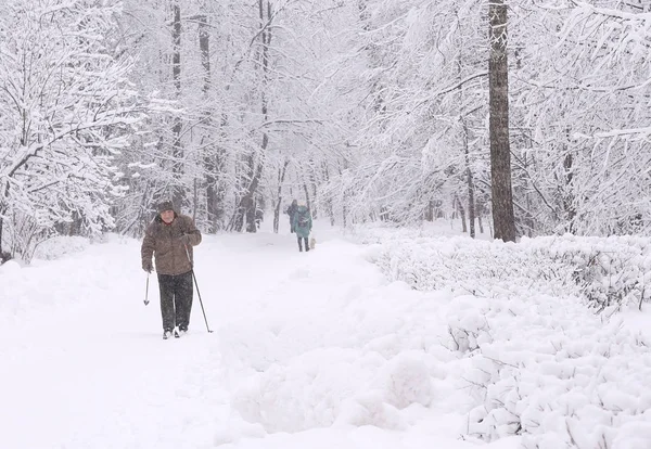 2019年2月13日 俄罗斯莫斯科 不明身份的人走在雪林背景下的雪原上 — 图库照片