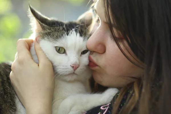 Летняя солнечная фотография девушки-подростка поцелуй обнимашки кота — стоковое фото