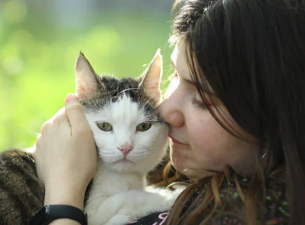 Verão ensolarado foto de adolescente menina beijo abraço gato — Fotografia de Stock