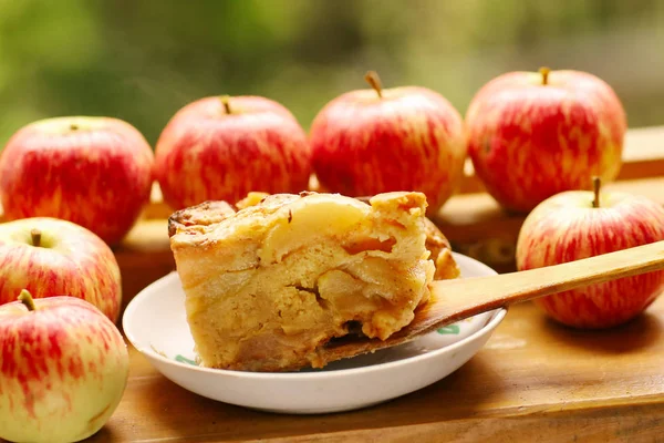 pieces of fresh baked apple pie among raw apples country style s