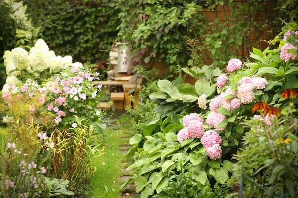 Giardino formale con fiori ortensia, gladiolo, flox e legno s — Foto Stock