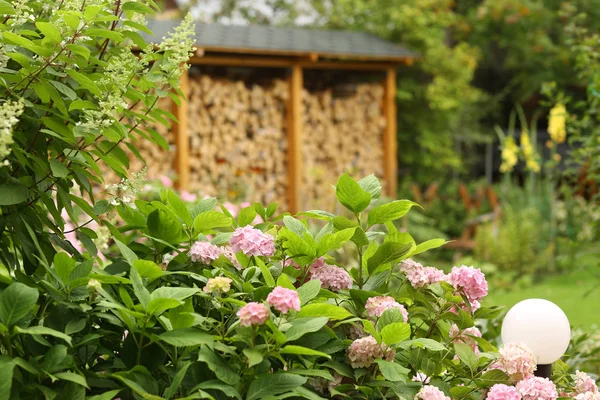 Jardin formel avec fleurs d'hortensia, gladiolus, flox et bois s — Photo