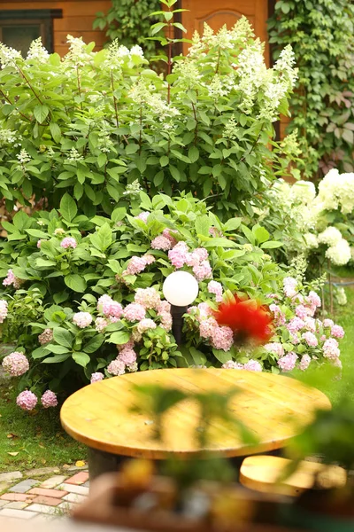 アジサイの花、グラディオラス、フロックスと木のsと正式な庭 — ストック写真
