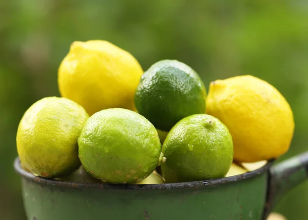 Miscela di lime e limone in ciotola su piante estive verdi giardino bac — Foto Stock