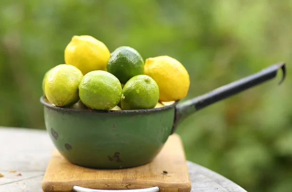 Miscela di lime e limone in ciotola su piante estive verdi giardino bac — Foto Stock