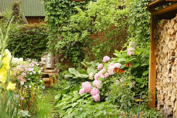 Muodollinen puutarha hortensia kukkia, gladiolus, tulva ja puu s — kuvapankkivalokuva